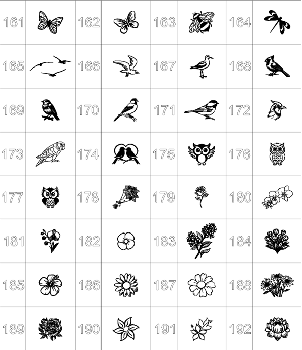 Jeu de toc modulaire 4 ou 6 joueurs – Image 10